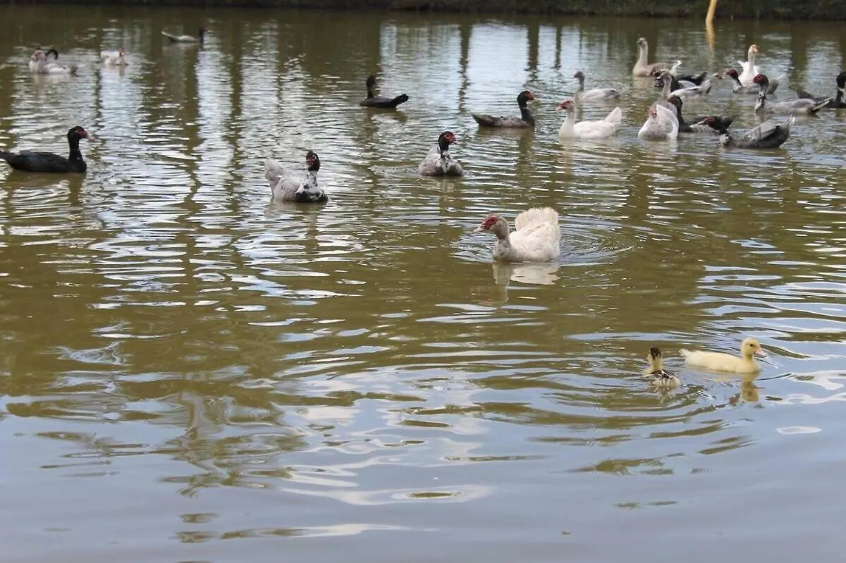 بيت للعطل Sitio Recanto Das Aguas تيجوكاس