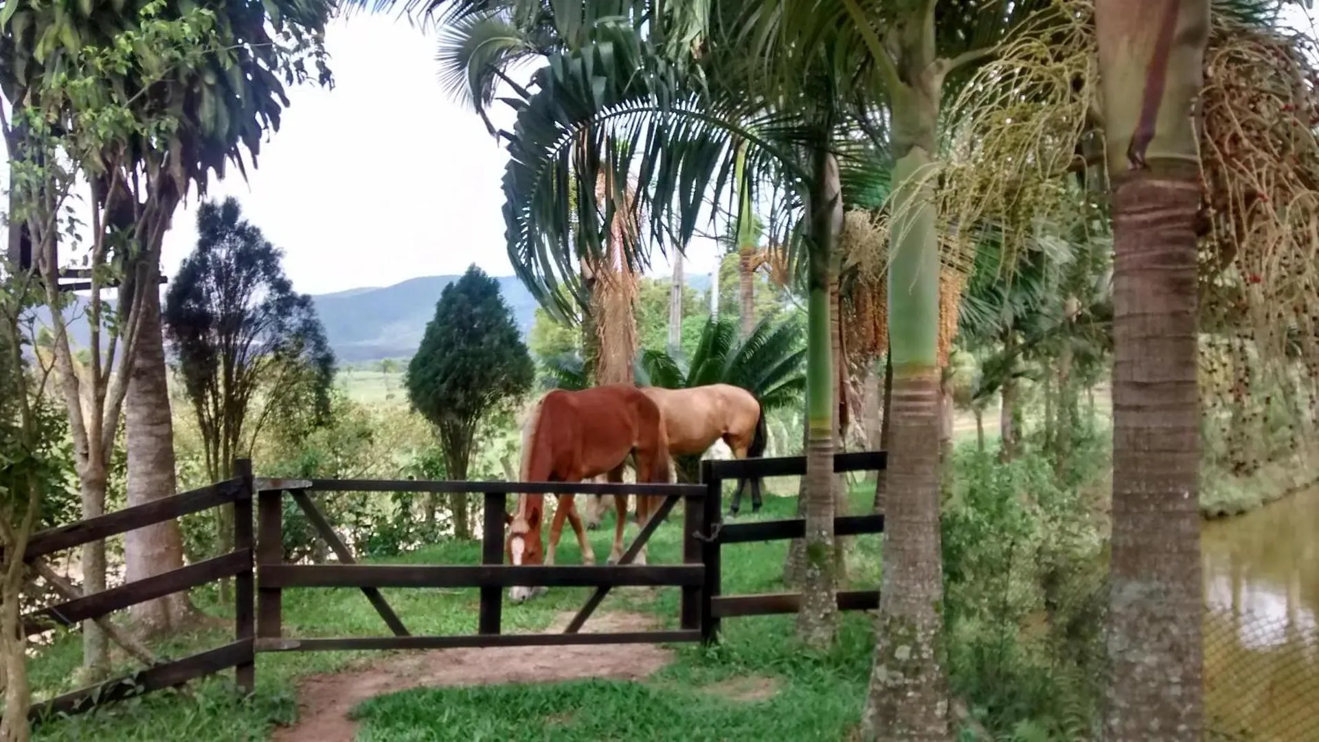 Sitio Recanto Das Aguas تيجوكاس بيت للعطل