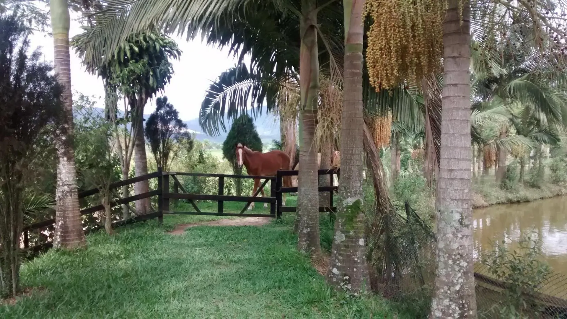 بيت للعطل Sitio Recanto Das Aguas تيجوكاس البرازيل