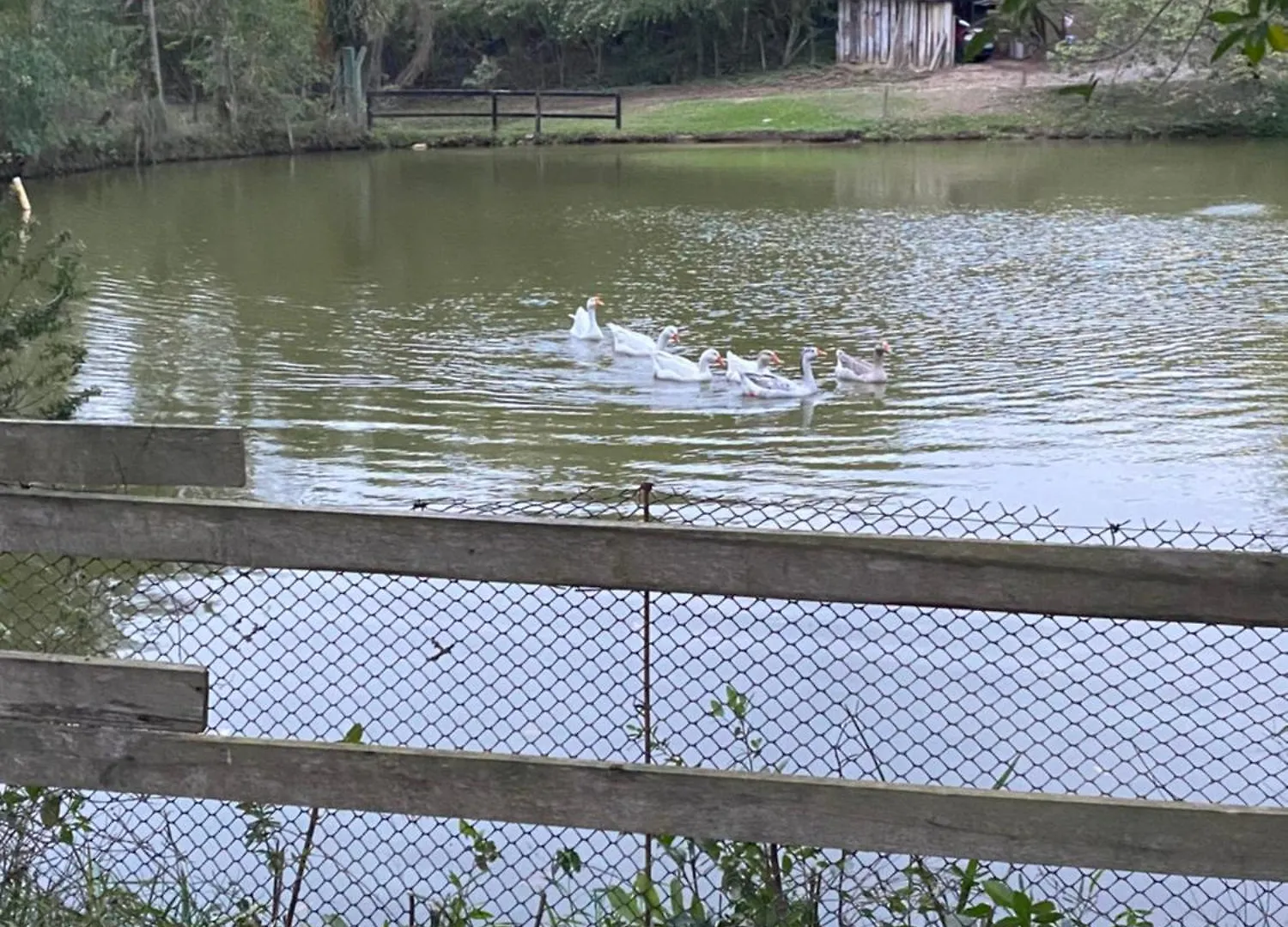 Sitio Recanto Das Aguas تيجوكاس بيت للعطل